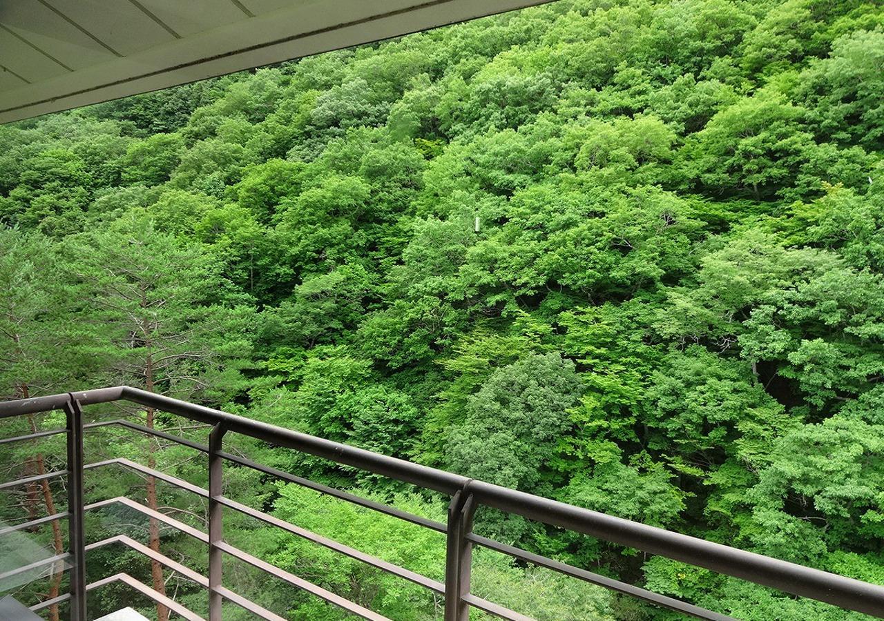 Hotel Yunishigawa Nikko Ngoại thất bức ảnh